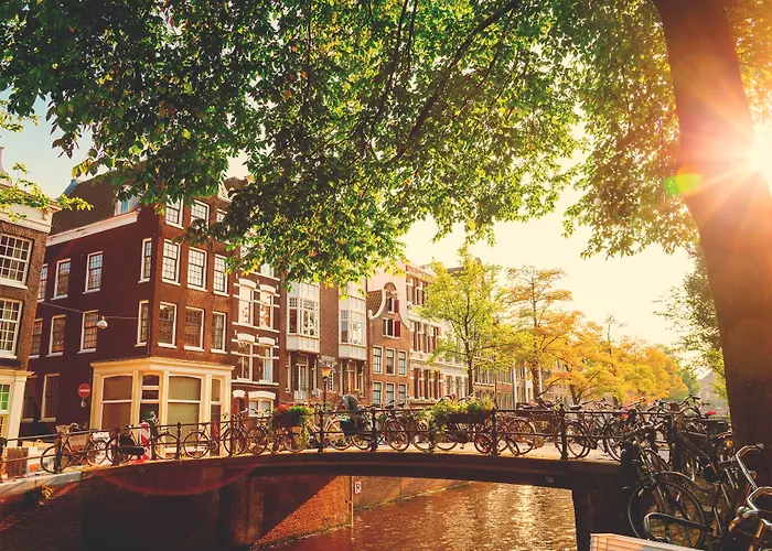 Flying Pig UptownHostel